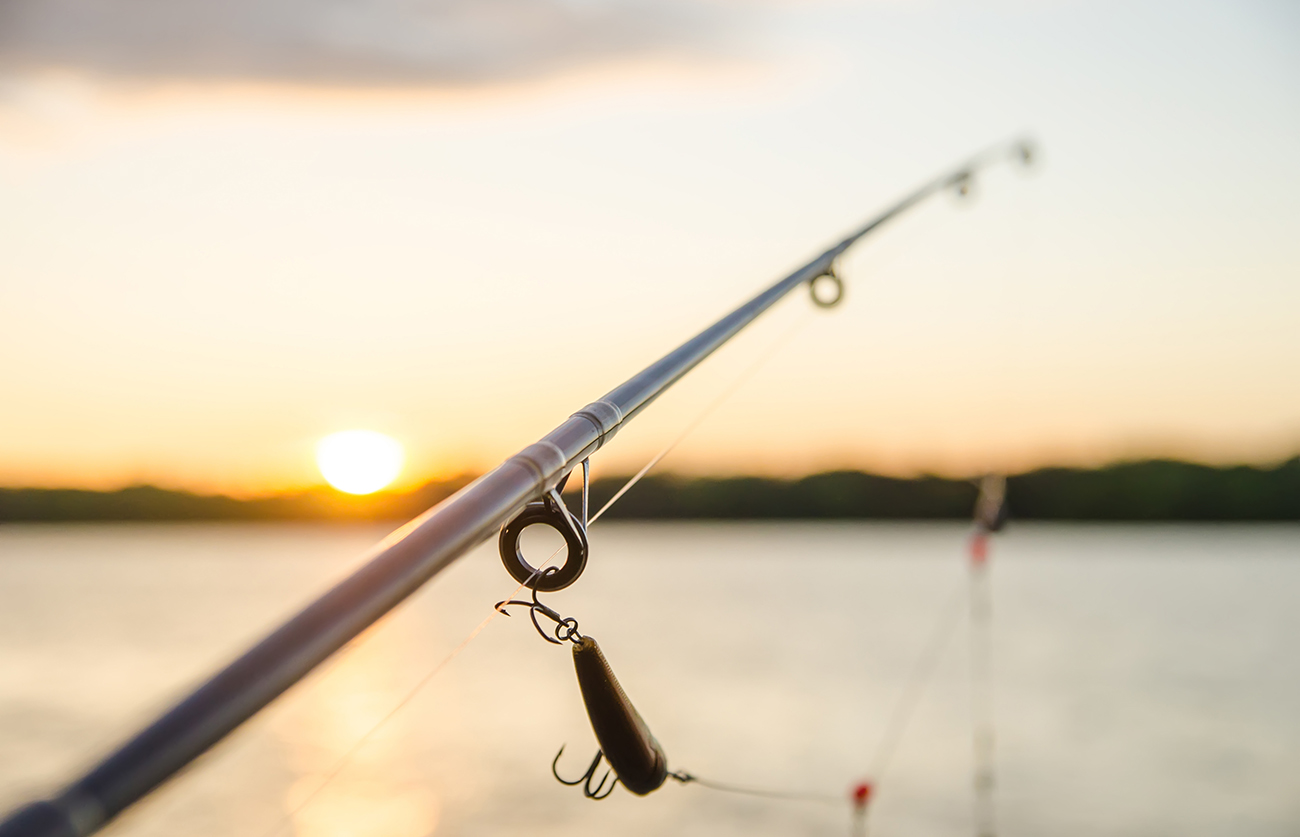 Spend a day fishing, canoeing, or kayaking close to home.